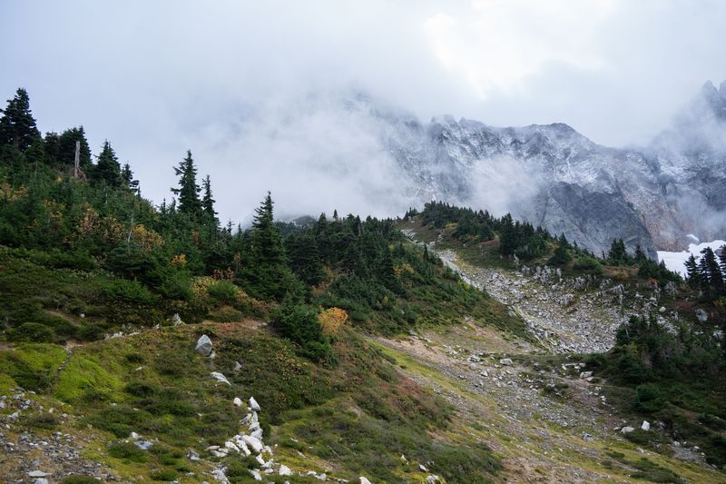 Tall firs and a rocky meadow below mountains half hidden in fog in Washington
